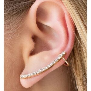Paparazzi Gold and Silver Ear Climber Earrings